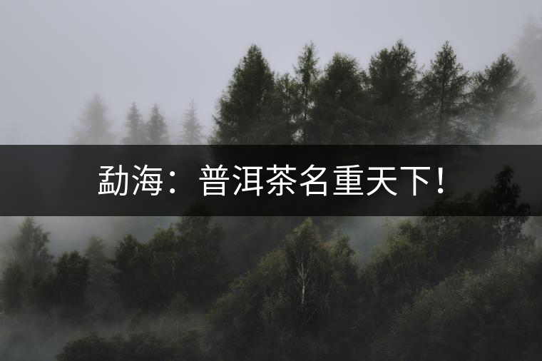 勐海：普洱茶名重天下！