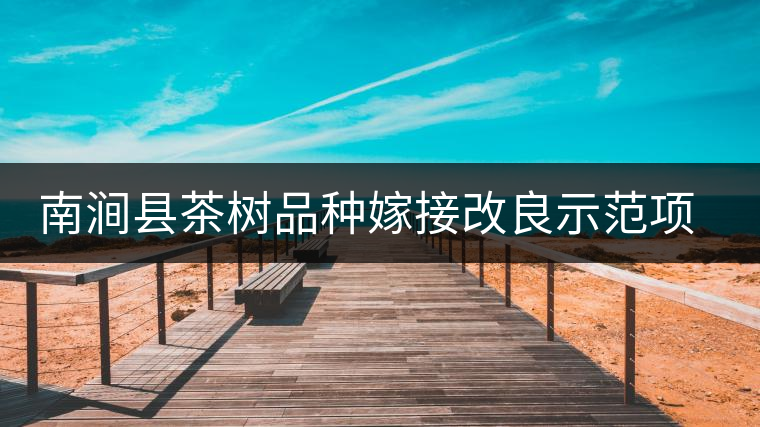 南澗縣茶樹品種嫁接改良示范項目全面完成