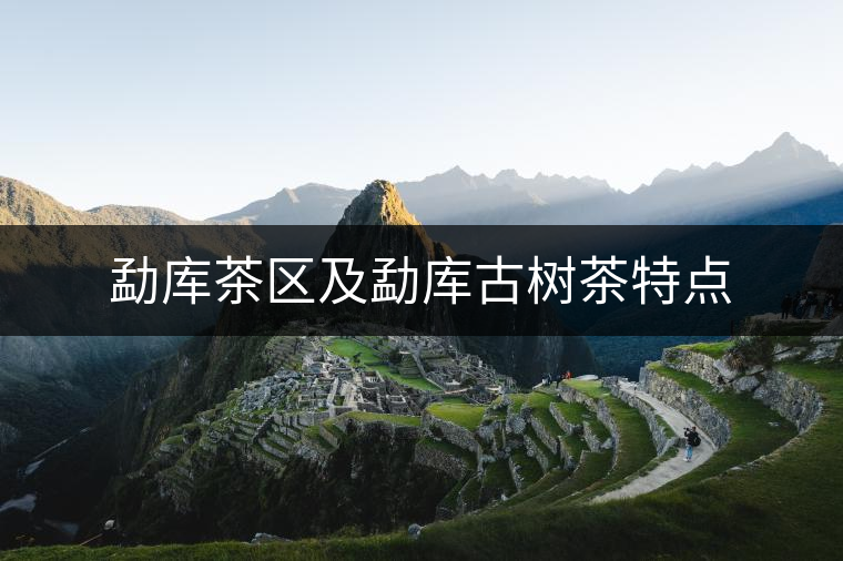 勐庫茶區(qū)及勐庫古樹茶特點(diǎn)