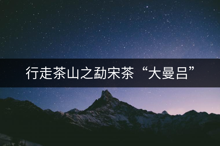 行走茶山之勐宋茶“大曼呂” 行走茶山之勐宋茶“大曼呂”