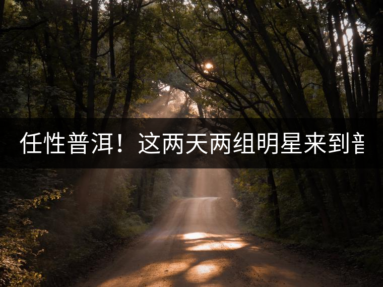 任性普洱！這兩天兩組明星來到普洱！