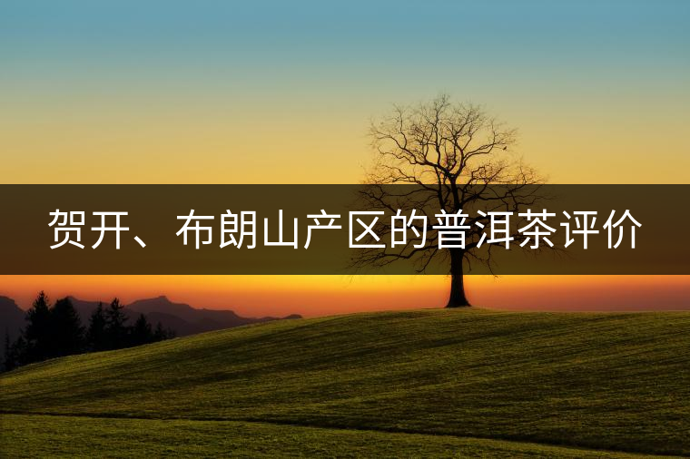 賀開、布朗山產(chǎn)區(qū)的普洱茶評(píng)價(jià)