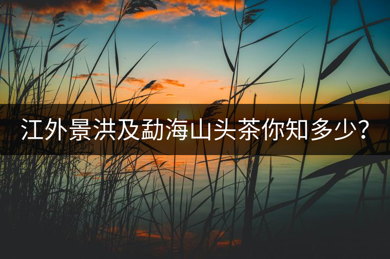 江外景洪及勐海山頭茶你知多少？