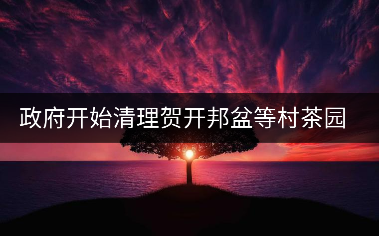政府開始清理賀開邦盆等村茶園各種廣告牌 政府開始清理賀開邦盆等村茶園各種廣告牌