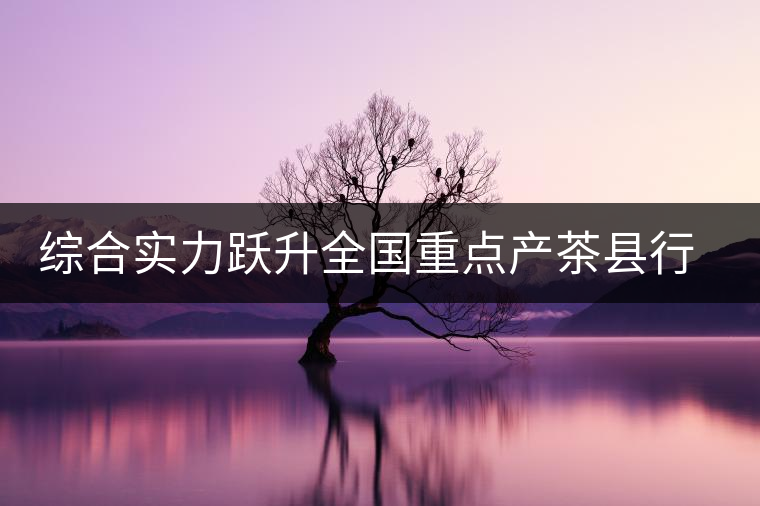 綜合實(shí)力躍升全國(guó)重點(diǎn)產(chǎn)茶縣行列