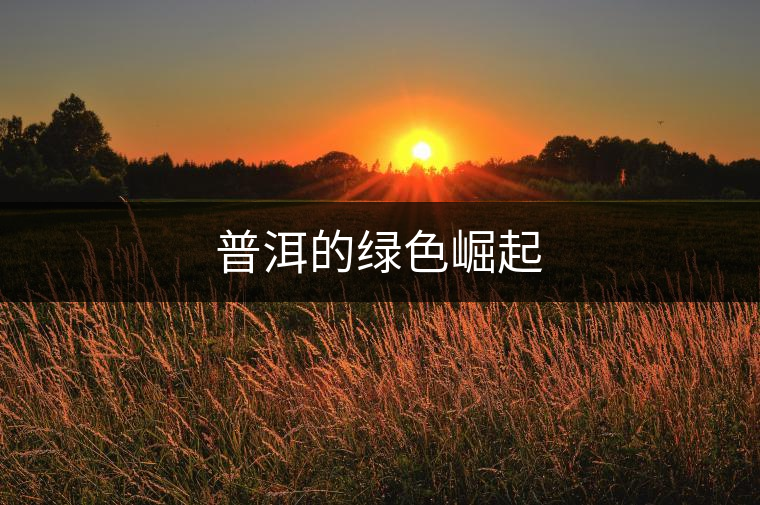普洱的綠色崛起