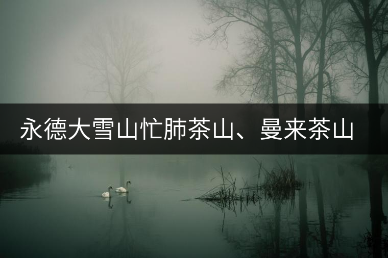 永德大雪山忙肺茶山、曼來茶山、放牛場(chǎng)茶園的生態(tài)指數(shù)