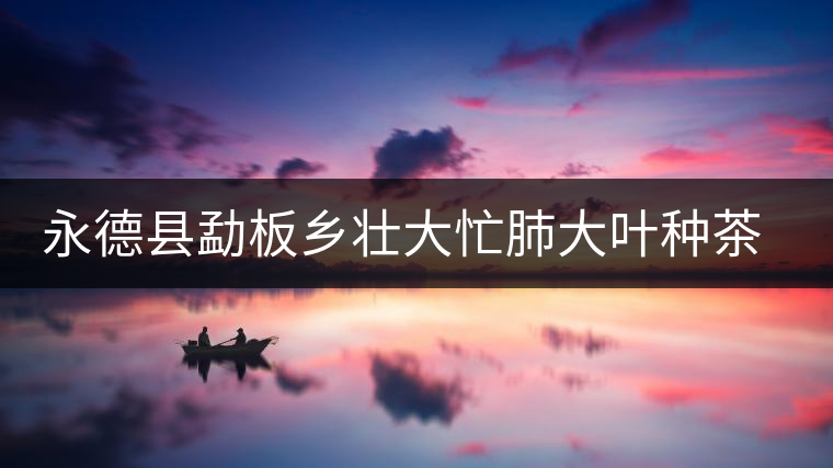 永德縣勐板鄉(xiāng)壯大忙肺大葉種茶發(fā)展規(guī)模