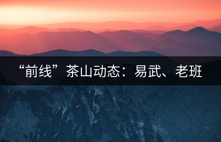 “前線”茶山動態(tài)：易武、老班章