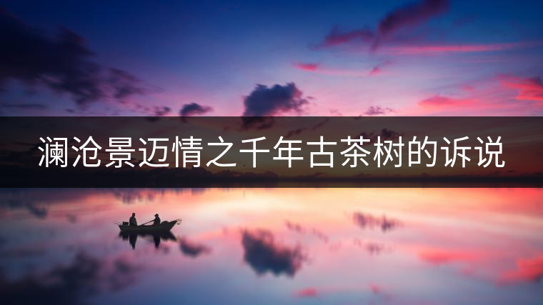 瀾滄景邁情之千年古茶樹的訴說(shuō) 瀾滄景邁情之千年古茶樹的訴說(shuō)