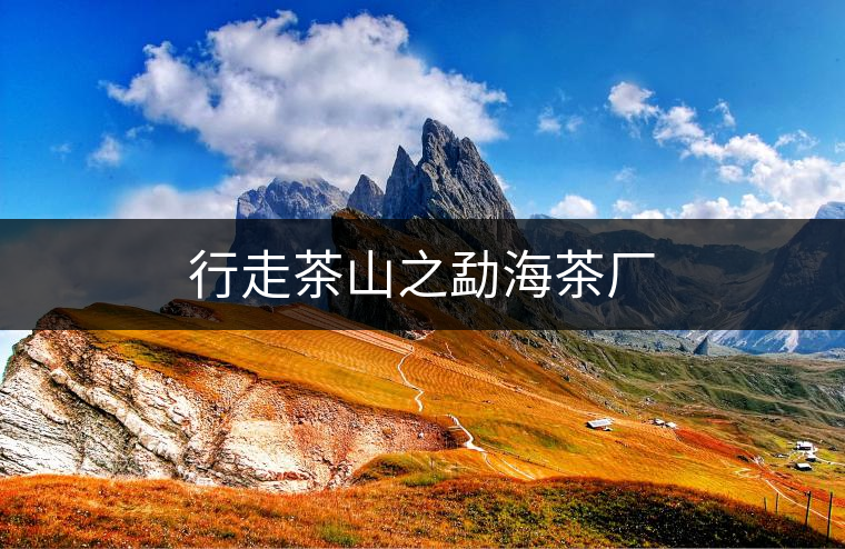 行走茶山之勐海茶廠
