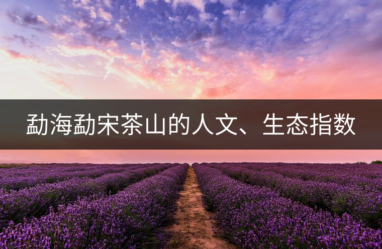 勐海勐宋茶山的人文、生態(tài)指數(shù)