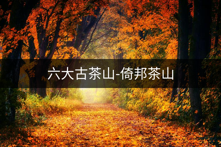 六大古茶山-倚邦茶山
