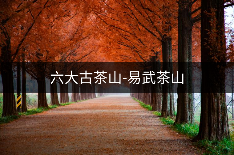 六大古茶山-易武茶山 六大古茶山-易武茶山