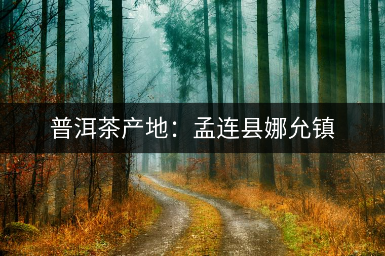 普洱茶產(chǎn)地：孟連縣娜允鎮(zhèn)