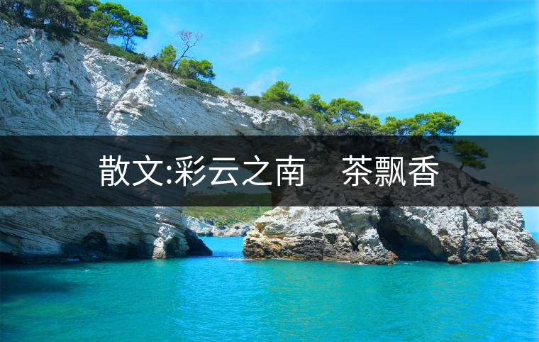 散文:彩云之南 茶飄香 散文:彩云之南 茶飄香