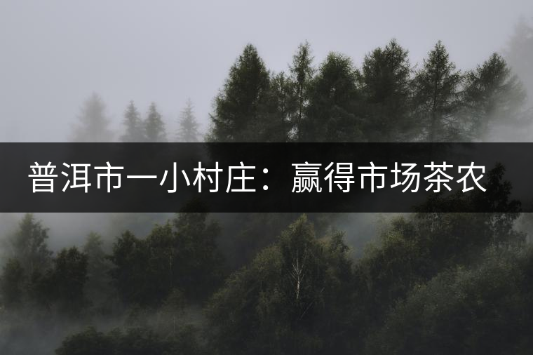普洱市一小村莊：贏得市場茶農(nóng)樂