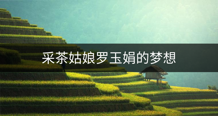 采茶姑娘羅玉娟的夢想