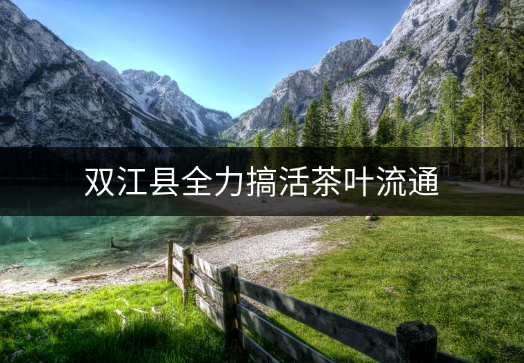 雙江縣全力搞活茶葉流通