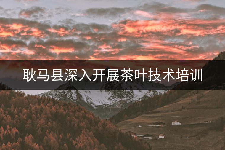 耿馬縣深入開展茶葉技術培訓