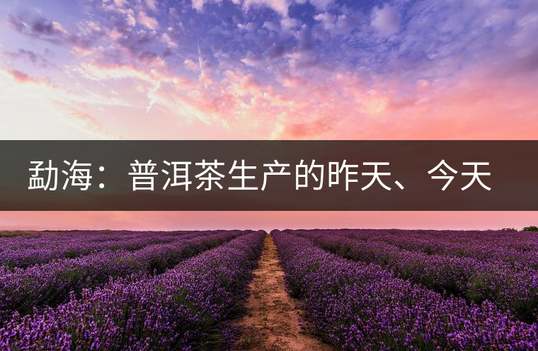 勐海：普洱茶生產(chǎn)的昨天、今天、明天
