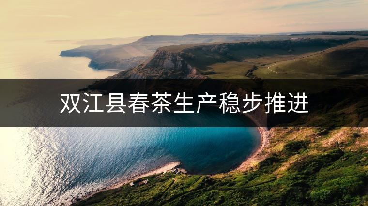 雙江縣春茶生產(chǎn)穩(wěn)步推進 雙江縣春茶生產(chǎn)穩(wěn)步推進