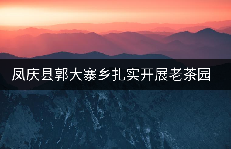 鳳慶縣郭大寨鄉(xiāng)扎實(shí)開展老茶園低改工作