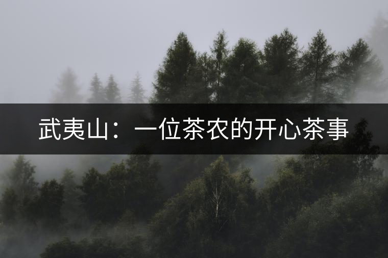 武夷山：一位茶農(nóng)的開心茶事