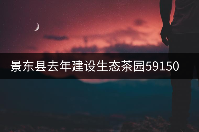 景東縣去年建設生態(tài)茶園59150畝