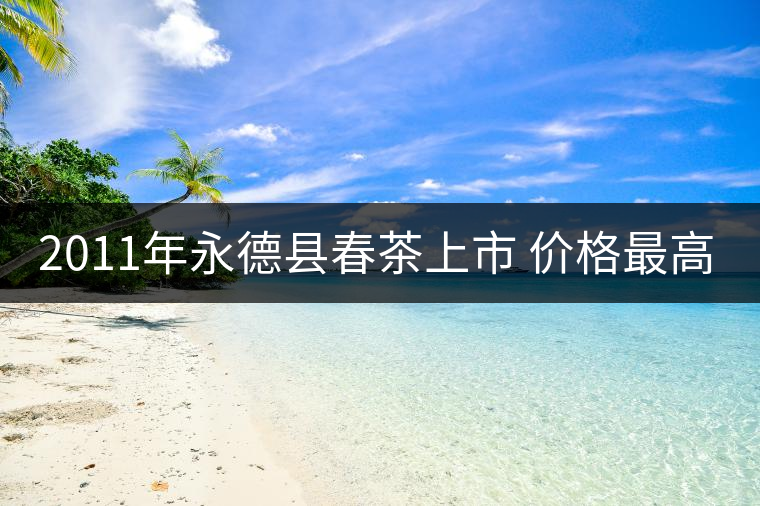 2011年永德縣春茶上市 價格最高同比增長140%