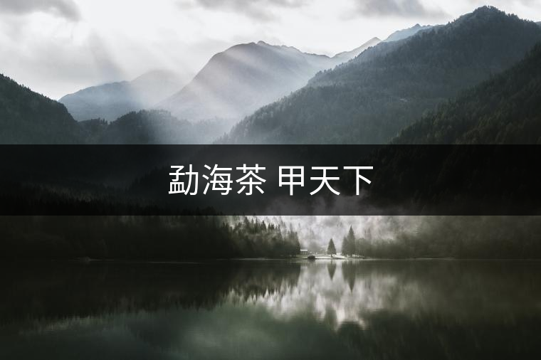 勐海茶 甲天下