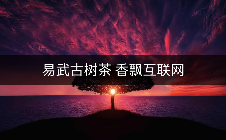 易武古樹(shù)茶 香飄互聯(lián)網(wǎng)