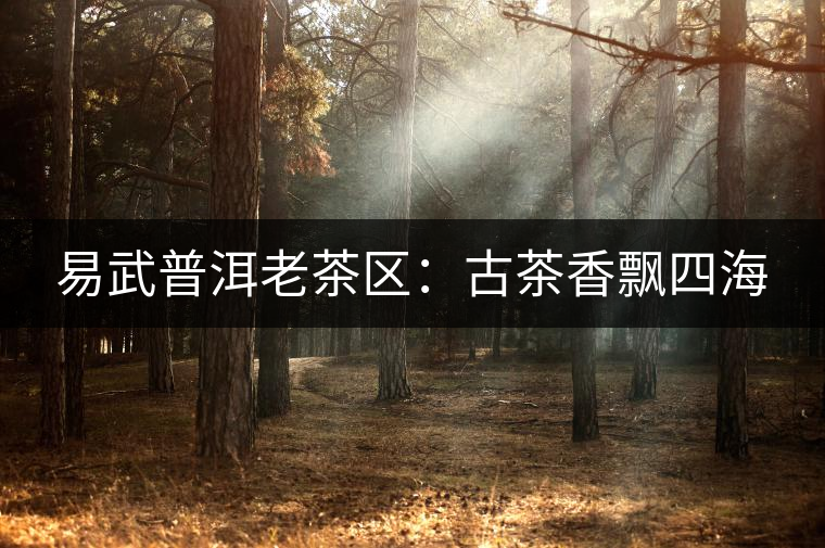 易武普洱老茶區(qū)：古茶香飄四海