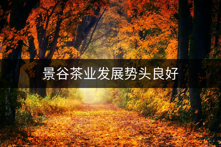 景谷茶業(yè)發(fā)展勢頭良好