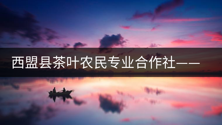 西盟縣茶葉農(nóng)民專業(yè)合作社——探索普洱茶古樹茶未來發(fā)展模式