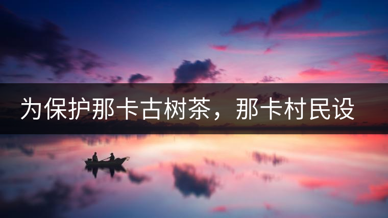 為保護那卡古樹茶，那卡村民設公約牌