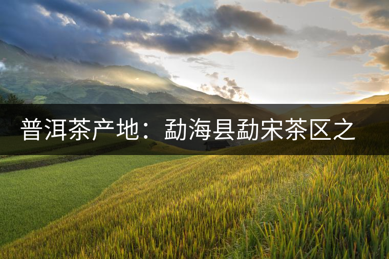 普洱茶產(chǎn)地：勐海縣勐宋茶區(qū)之那卡