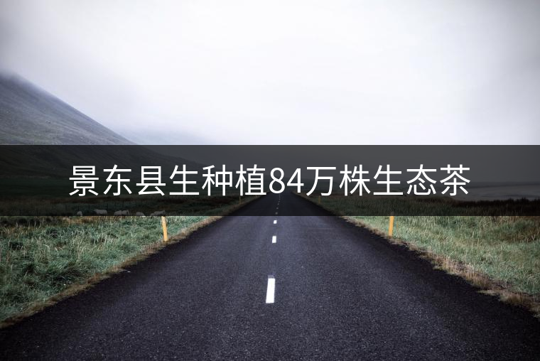 景東縣生種植84萬株生態(tài)茶