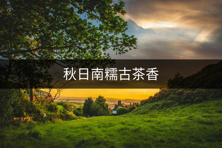 秋日南糯古茶香 秋日南糯古茶香