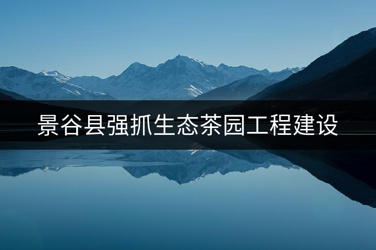 景谷縣強(qiáng)抓生態(tài)茶園工程建設(shè)