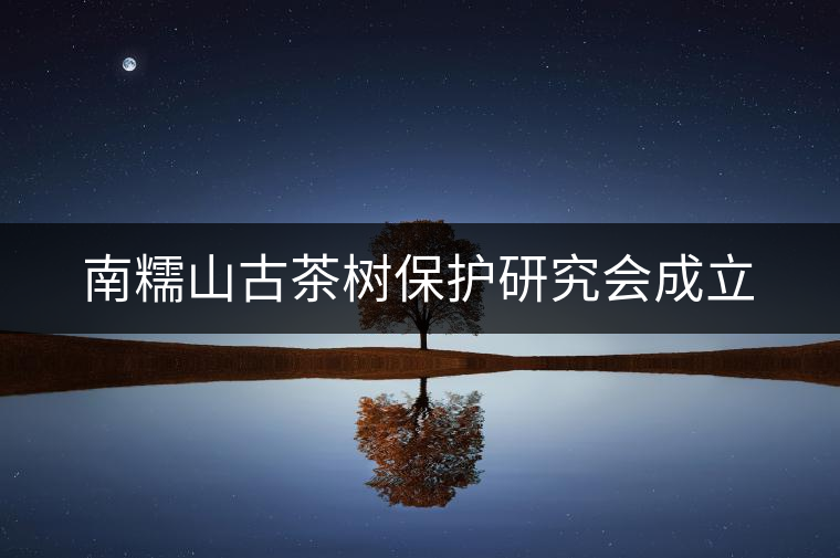 南糯山古茶樹(shù)保護(hù)研究會(huì)成立