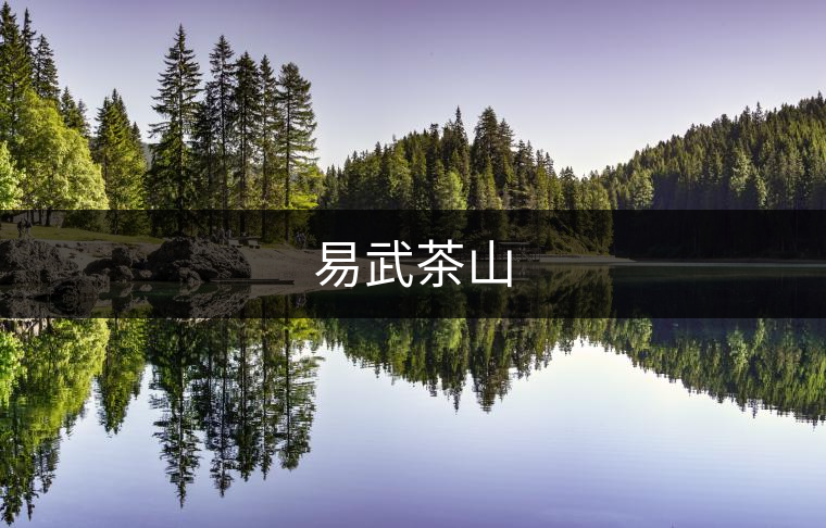 易武茶山