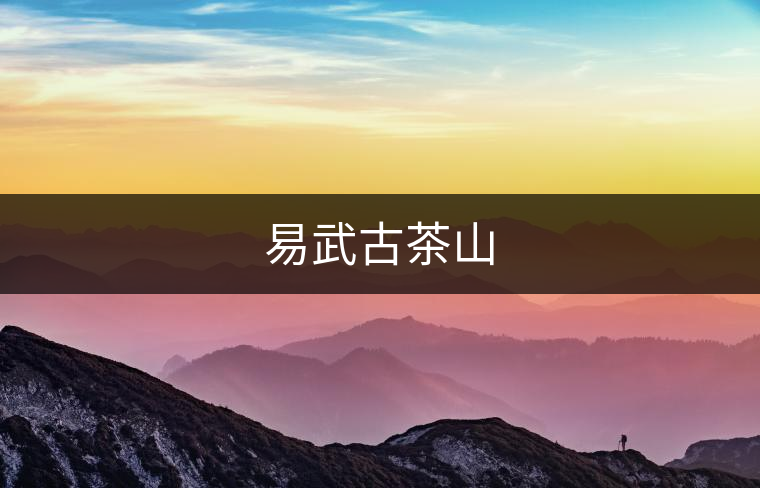 易武古茶山
