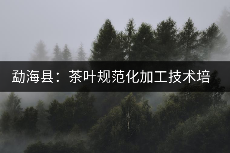 勐?？h：茶葉規(guī)范化加工技術(shù)培訓(xùn)
