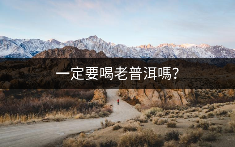 一定要喝老普洱嗎？