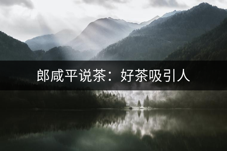 郎咸平說(shuō)茶：好茶吸引人