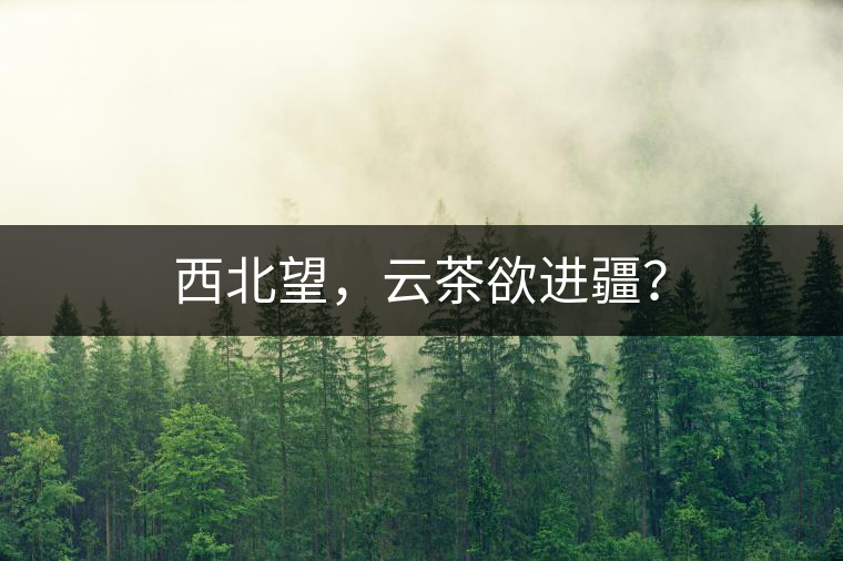 西北望，云茶欲進(jìn)疆？