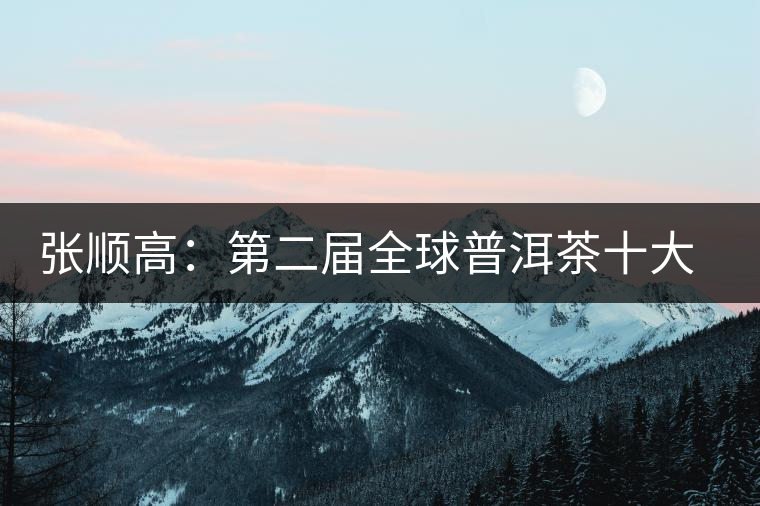 張順高：第二屆全球普洱茶十大杰出人物