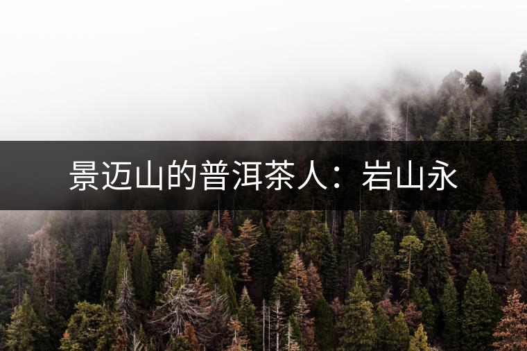 景邁山的普洱茶人:巖山永 景邁山的普洱茶人:巖山永