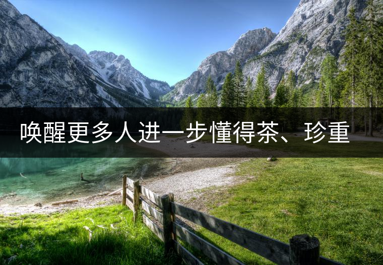 喚醒更多人進(jìn)一步懂得茶、珍重茶、享受茶